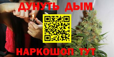 стафф Будённовск