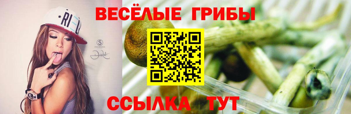 Галлюциногенные грибы Magic Shrooms  Псилоцибиновые грибы мицелий  Вход с VPN  Саратов 